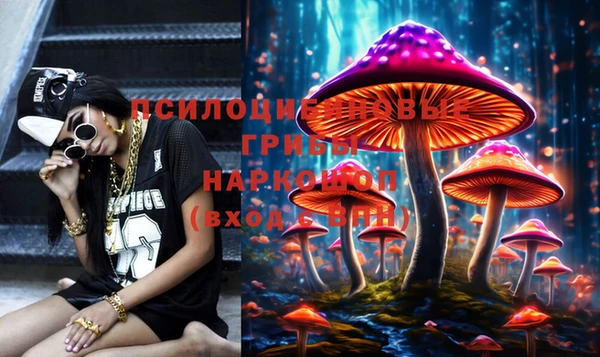 стаф Киреевск